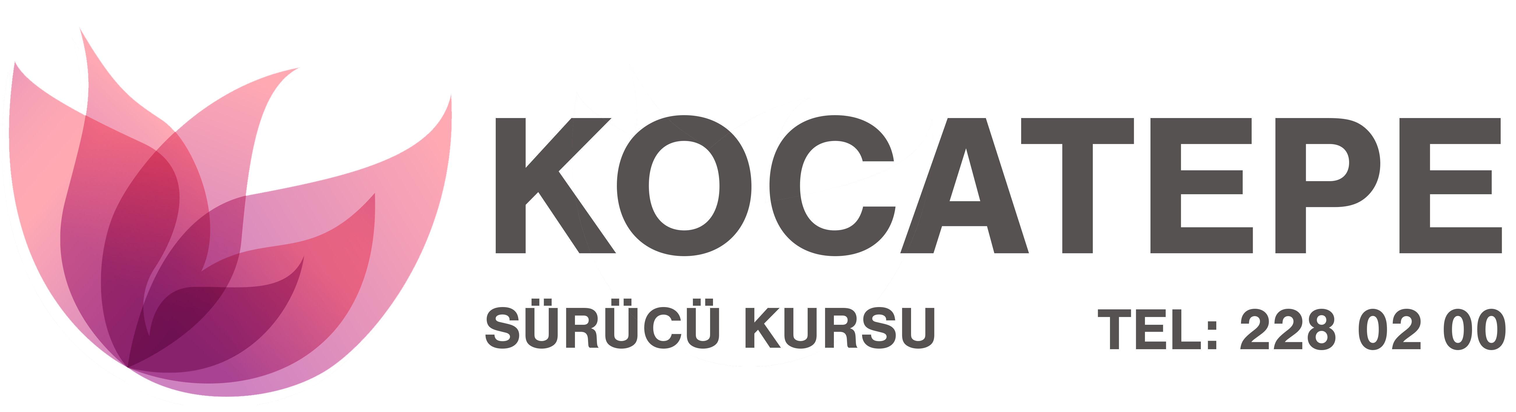 IMG-LOGO